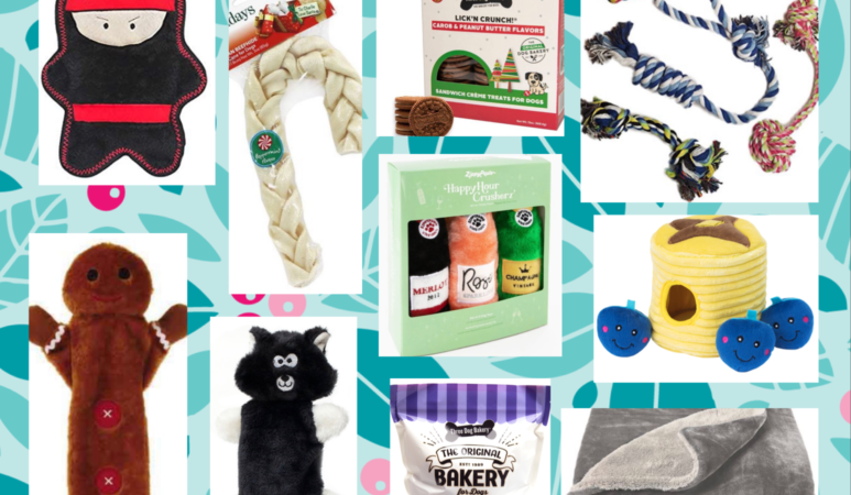 Holiday Gifts for your Dog
