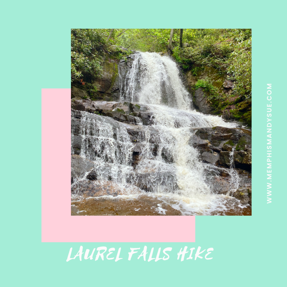 Laurel Falls Hike